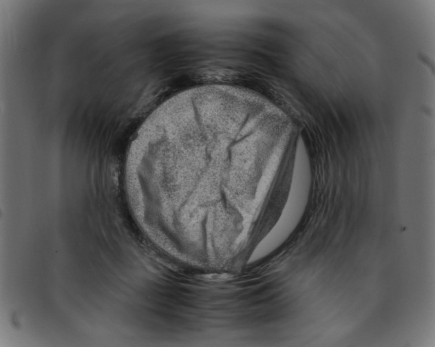 X0000096940363200803071011