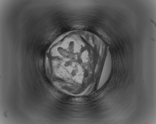 X0000096940365200803071011