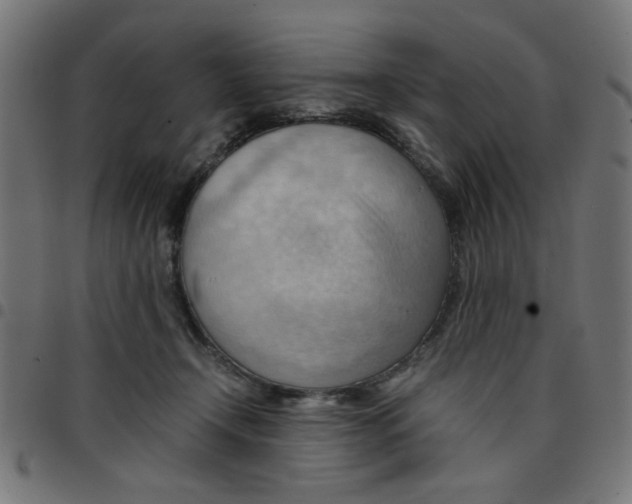 X0000096940366200803071011
