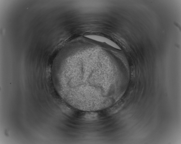 X0000096940369200803071011