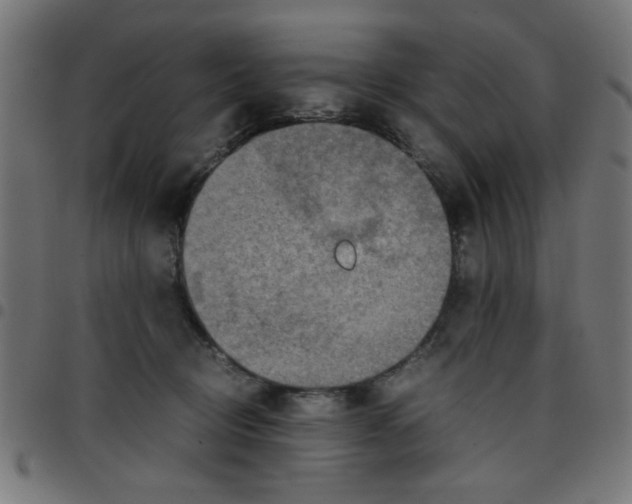X0000096940370200803071011