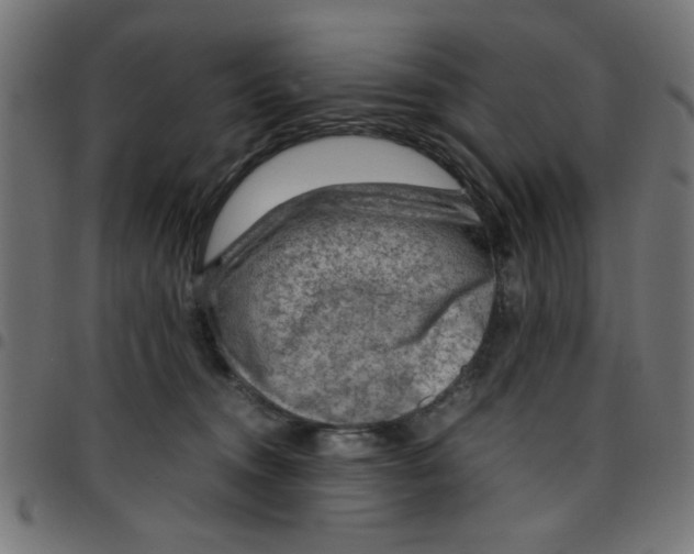 X0000096940372200803071011