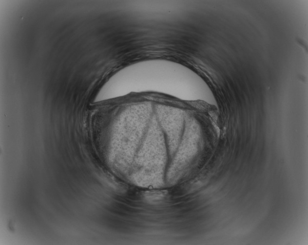 X0000096940373200803071011