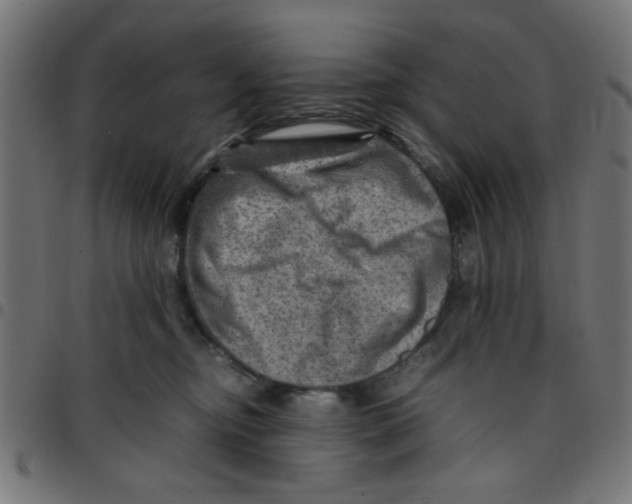 X0000096940374200803071011