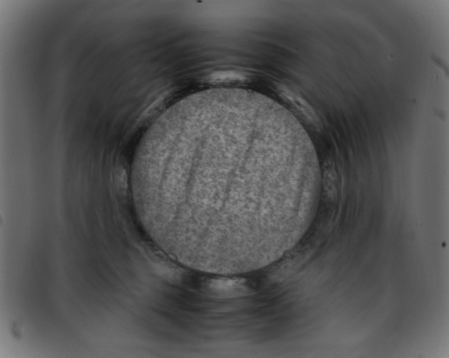 X0000096940375200803071011