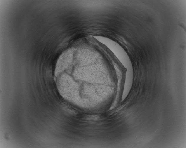 X0000096940377200803071011