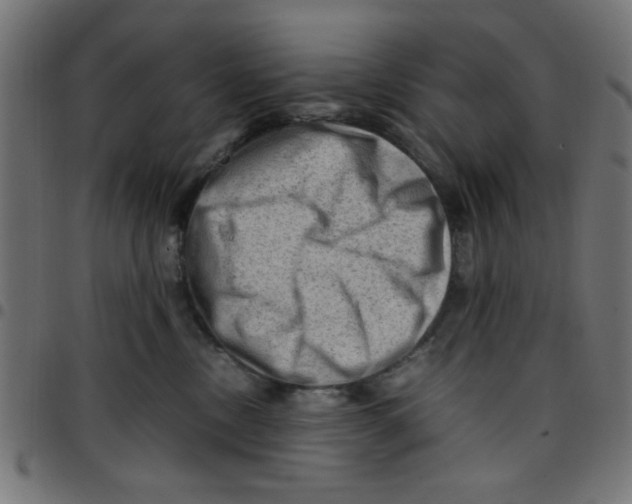 X0000096940378200803071011