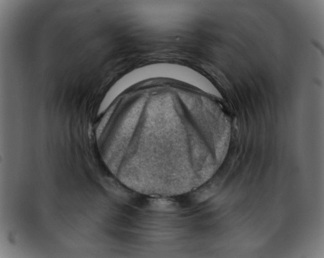 X0000096940380200803071011