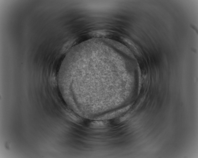 X0000096940381200803071011