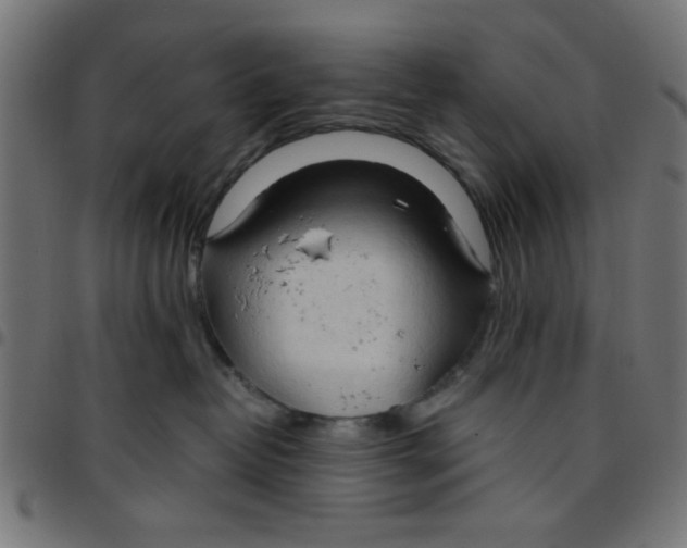 X0000096940382200803071011