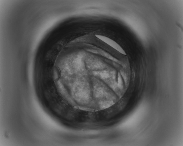 X0000096940383200803071011