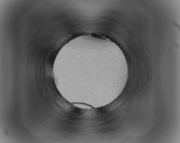 X0000096940384200803071011