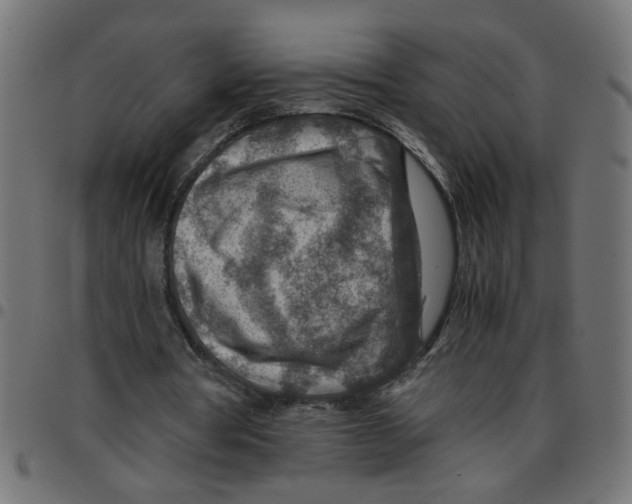 X0000096940386200803071010