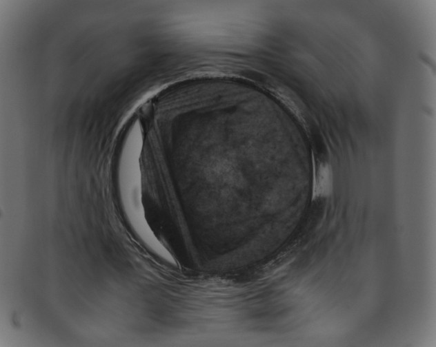 X0000096940387200803071010