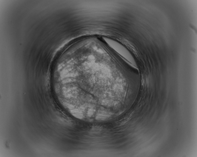 X0000096940388200803071010