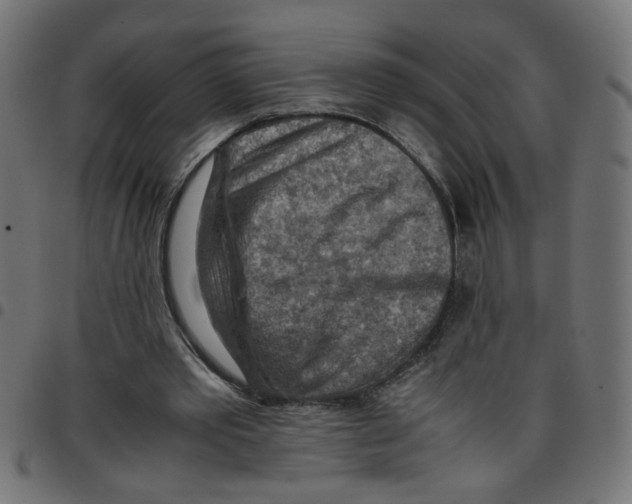 X0000096940389200803071010