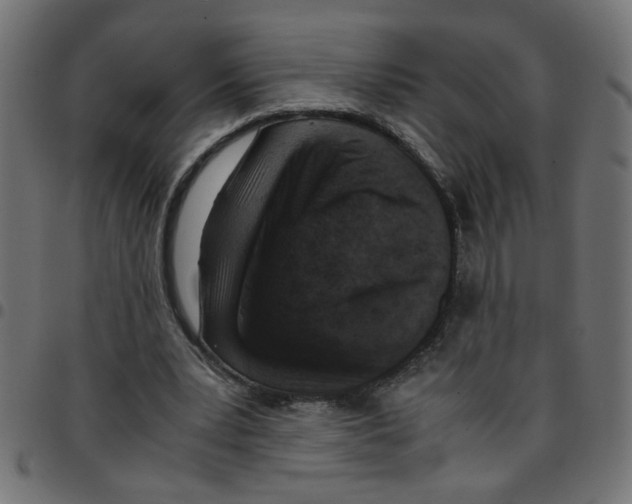 X0000096940391200803071010