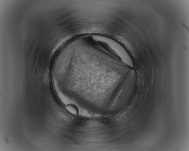 X0000096940392200803071010