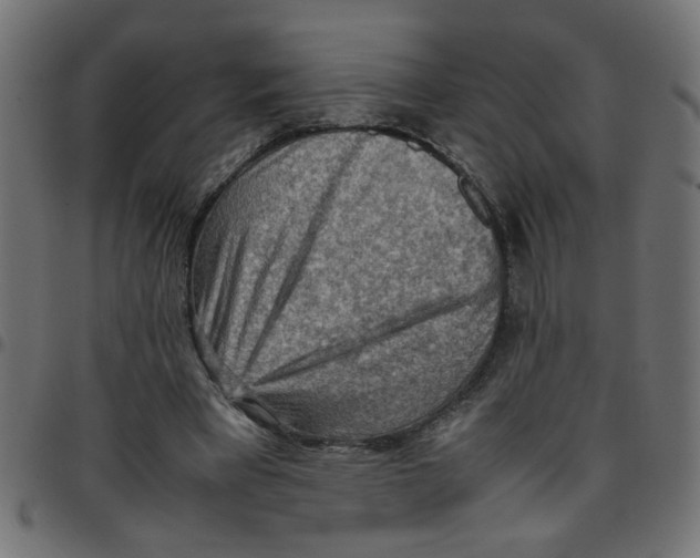 X0000096940393200803071010