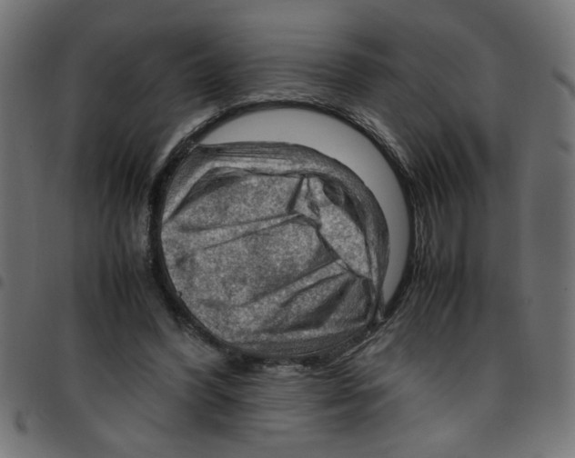 X0000096940396200803071010