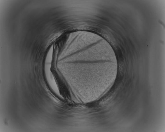 X0000096940397200803071010