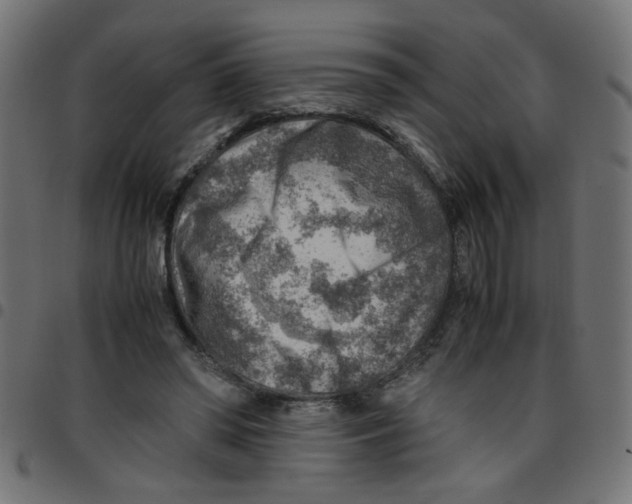 X0000096940398200803071010