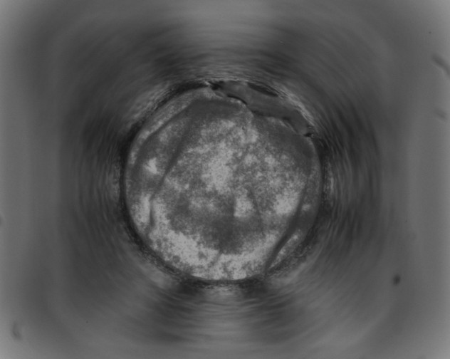 X0000096940402200803071010