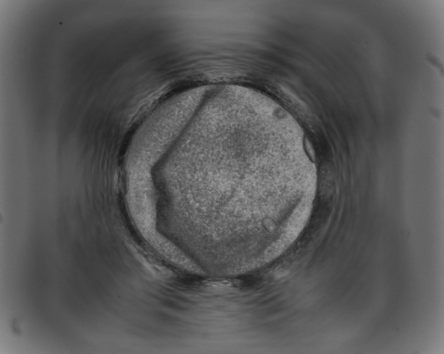 X0000096940405200803071010