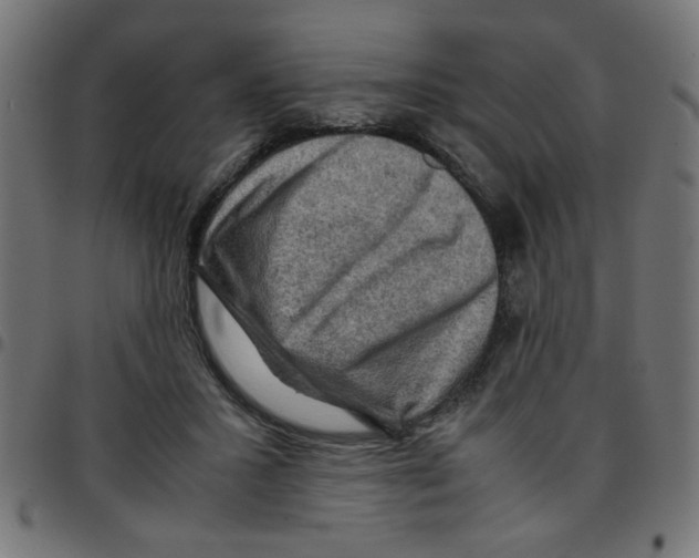 X0000096940407200803071010