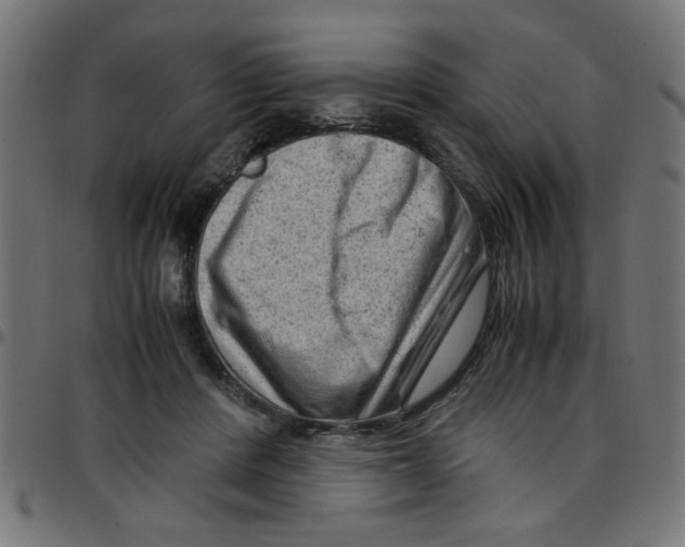 X0000096940408200803071010