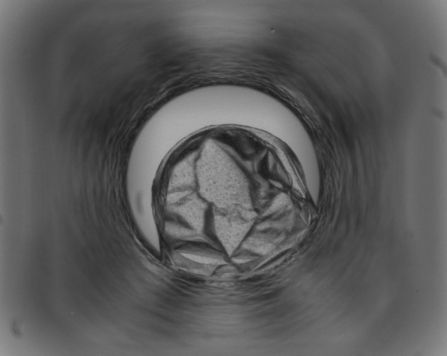 X0000096940409200803071010