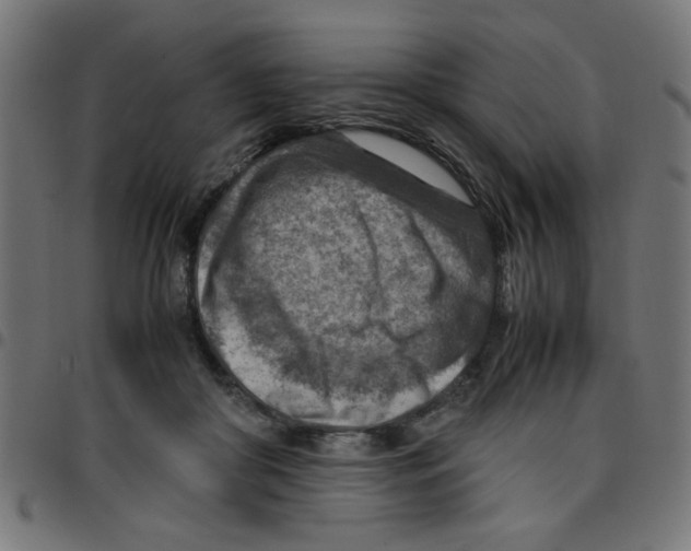 X0000096940410200803071010