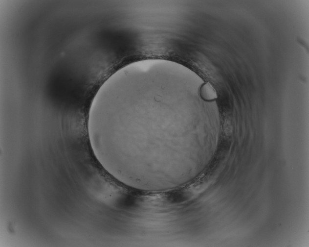 X0000096940411200803071010