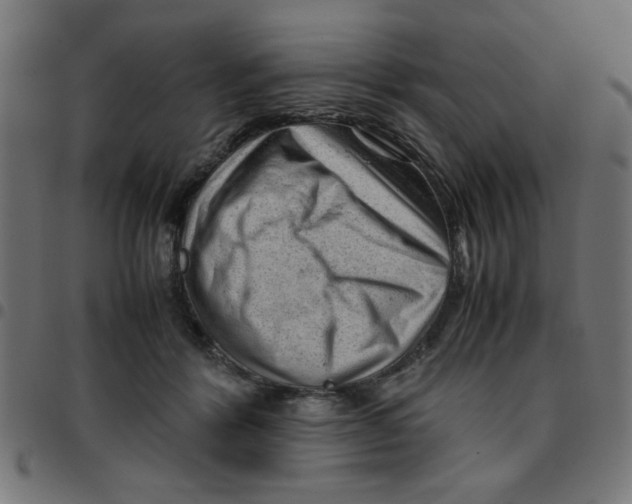 X0000096940412200803071010