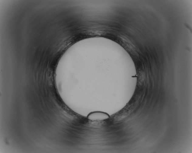 X0000096940414200803071010