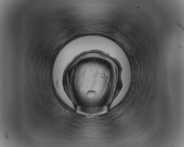 X0000096940415200803071010
