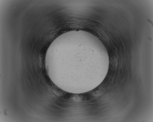 X0000096940416200803071010