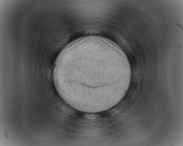 X0000096940417200803071010