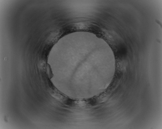 X0000096940419200803071010