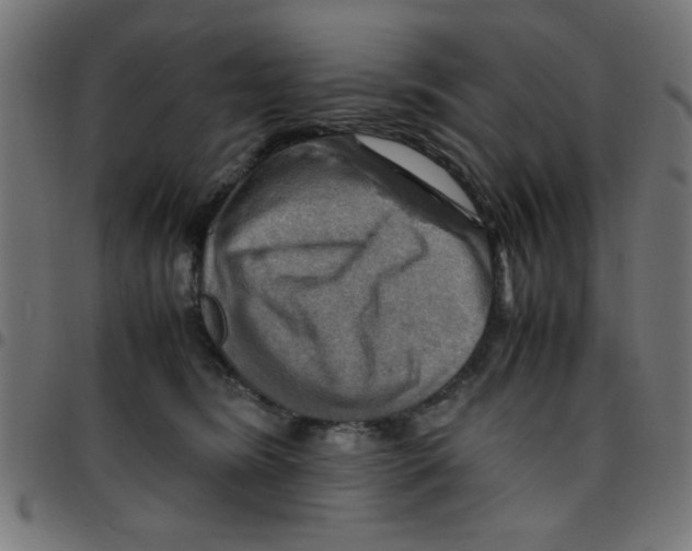 X0000096940420200803071010