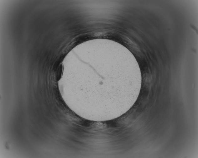 X0000096940421200803071010