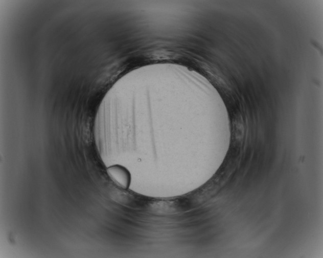 X0000096940422200803071010