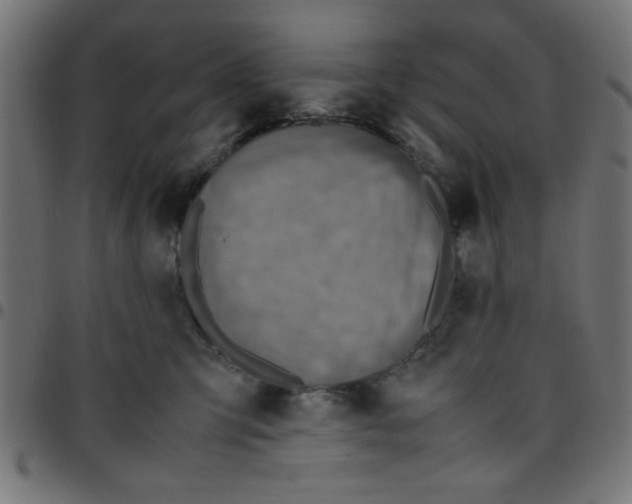 X0000096940423200803071010
