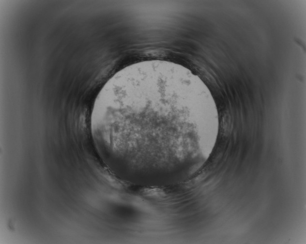 X0000096940424200803071010