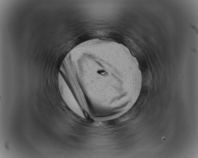 X0000096940425200803071010