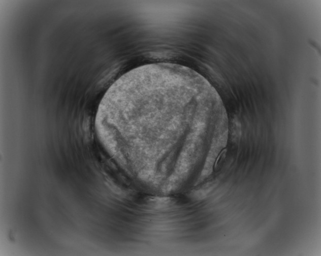 X0000096940428200803071010