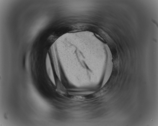 X0000096940429200803071010