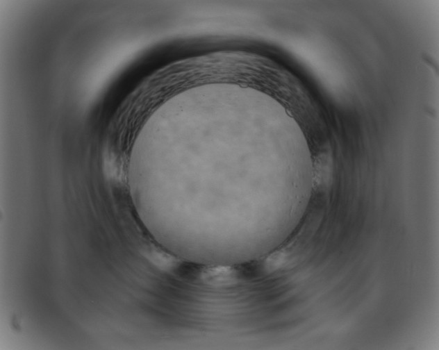 X0000096940431200803071010