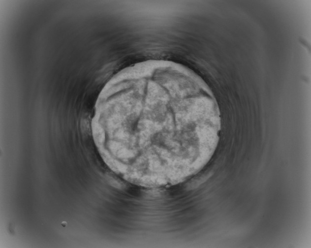 X0000096940432200803071010