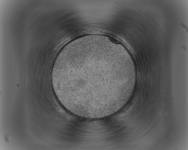 X0000096940433200803071009